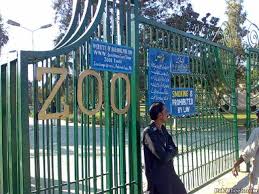 Bahawalpur Zoo Ticket Price & Timing